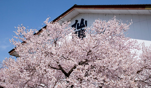 高遠城址の桜と共に150年